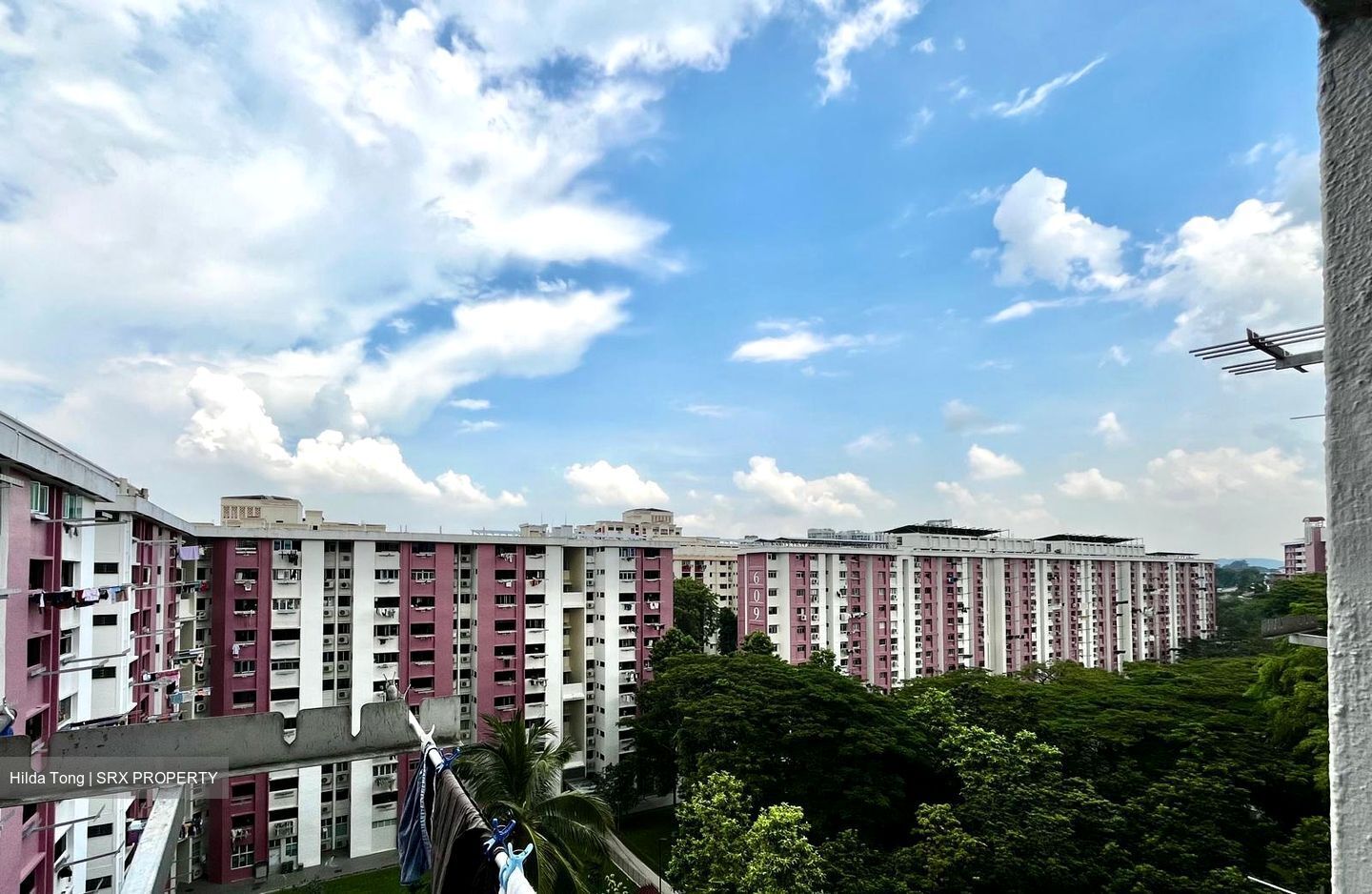 Blk 610 Ang Mo Kio Avenue 4 (Ang Mo Kio), HDB 3 Rooms #562204301